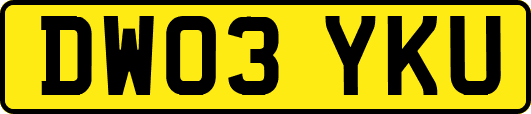 DW03YKU