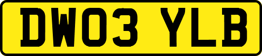 DW03YLB