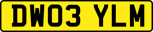 DW03YLM