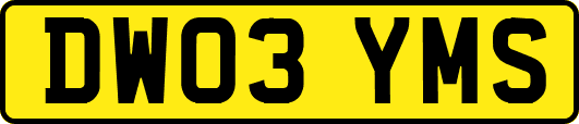 DW03YMS