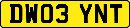 DW03YNT