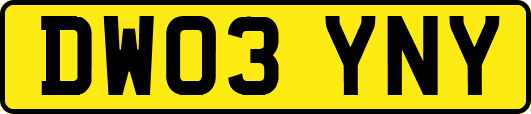 DW03YNY