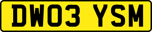 DW03YSM