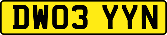 DW03YYN
