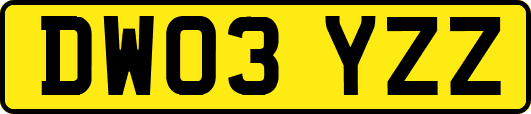 DW03YZZ