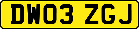 DW03ZGJ