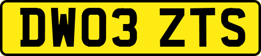 DW03ZTS