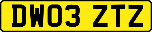 DW03ZTZ