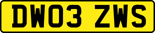 DW03ZWS
