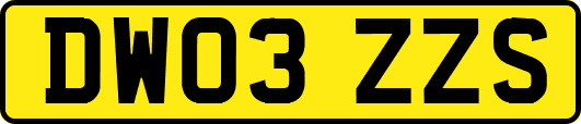 DW03ZZS