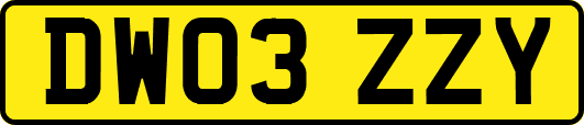 DW03ZZY