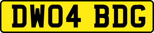 DW04BDG