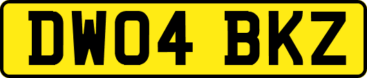 DW04BKZ