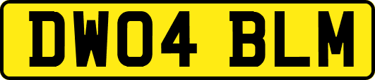 DW04BLM