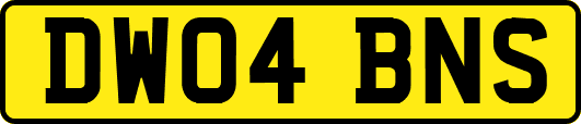 DW04BNS