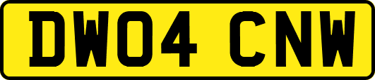 DW04CNW