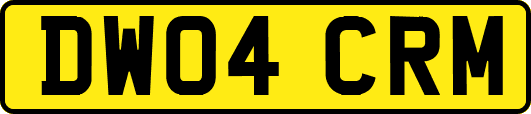 DW04CRM