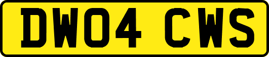 DW04CWS