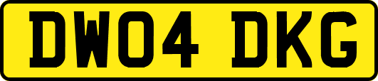 DW04DKG