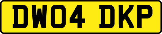 DW04DKP