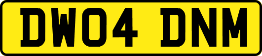 DW04DNM