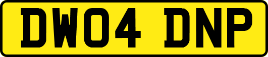 DW04DNP