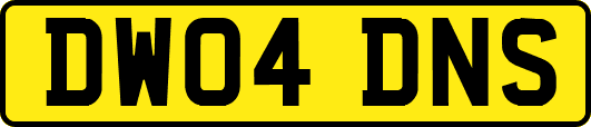 DW04DNS