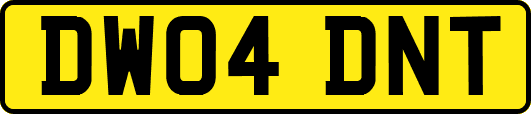 DW04DNT