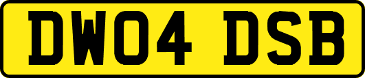 DW04DSB
