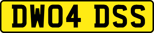 DW04DSS