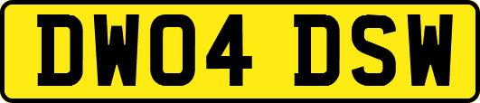 DW04DSW