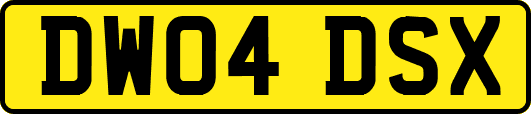DW04DSX