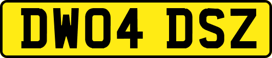 DW04DSZ