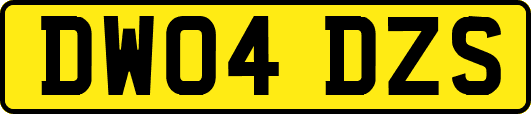 DW04DZS