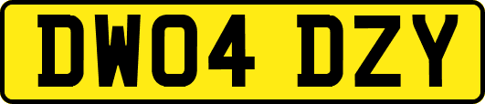 DW04DZY