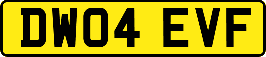 DW04EVF