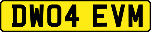 DW04EVM