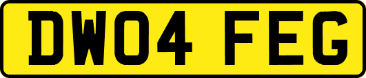 DW04FEG