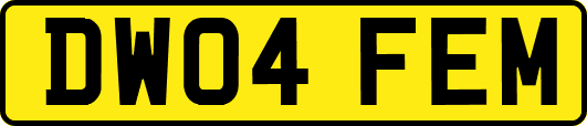 DW04FEM