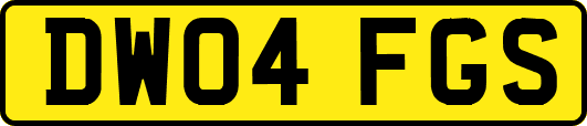 DW04FGS