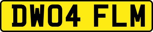DW04FLM