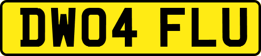 DW04FLU