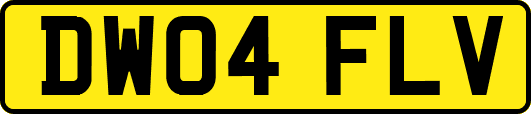 DW04FLV