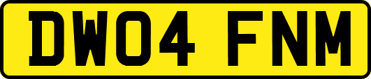 DW04FNM