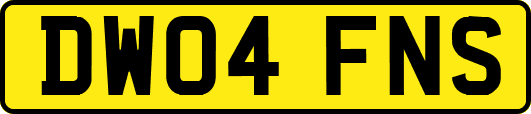DW04FNS