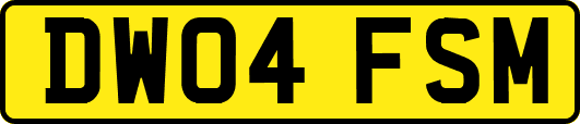 DW04FSM