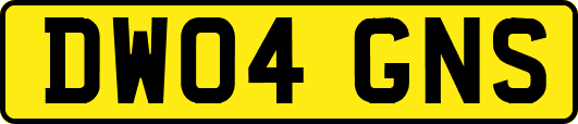 DW04GNS