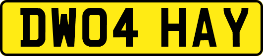 DW04HAY