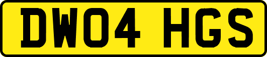 DW04HGS