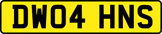 DW04HNS